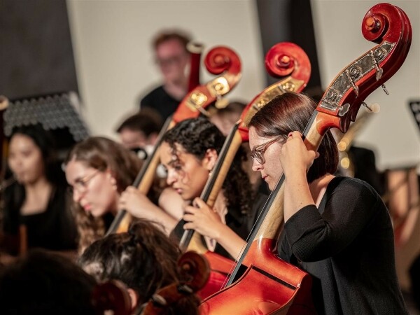 Filharmonie Gustava Mahlera (foto 1)
