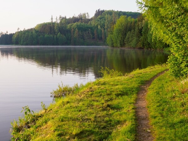 Polenský Mrkvanec (foto 1)