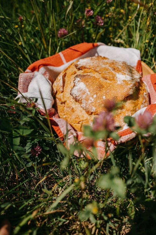 Farmářský trh (foto 1)