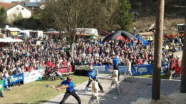 Dřevorubecké závody (foto 1)