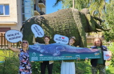 kROCCOdýl! (foto 2)