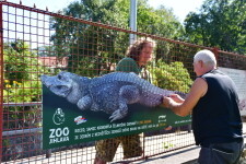 kROCCOdýl! (foto 3)