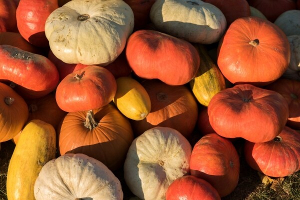 Halloween v Alternátoru (foto 1)