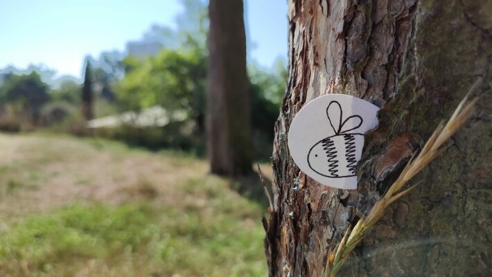 Podzimní slavnosti (foto 1)