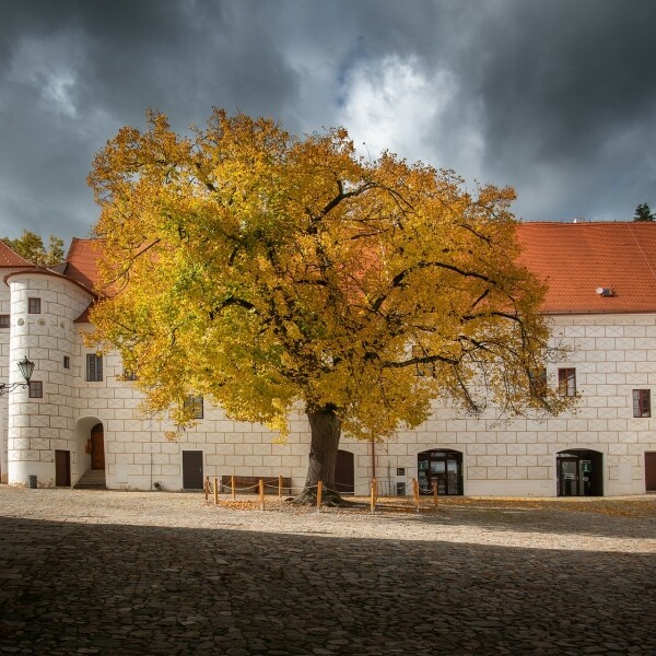 Den otevřených dveří na zámku Třebíč (foto 1)