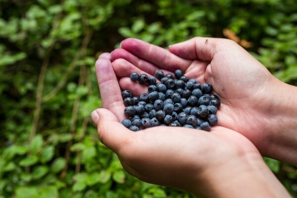Farmářské trhy (foto 1)