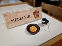 Mistrovství ČR ve famfrpálu (foto 3)