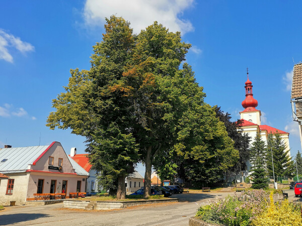 VÝSTAVA VYSOČINY 2023 (foto 1)