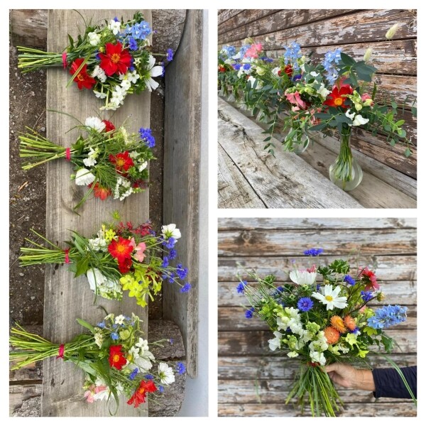 Bylinkobraní na Květinové farmě (foto 1)