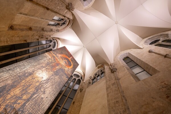 Přednáška: Architektura inteligence (foto 1)