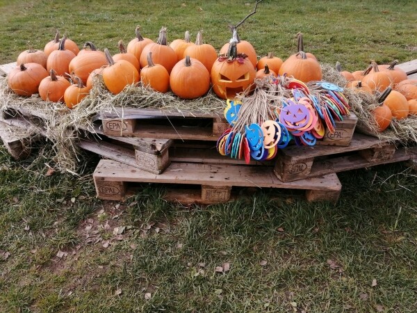 Halloweenské odpoledne (foto 1)