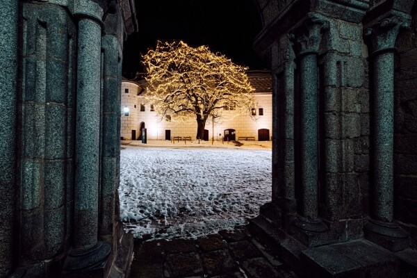 Přichází zima- Výstava na Karlově náměstí (foto 1)