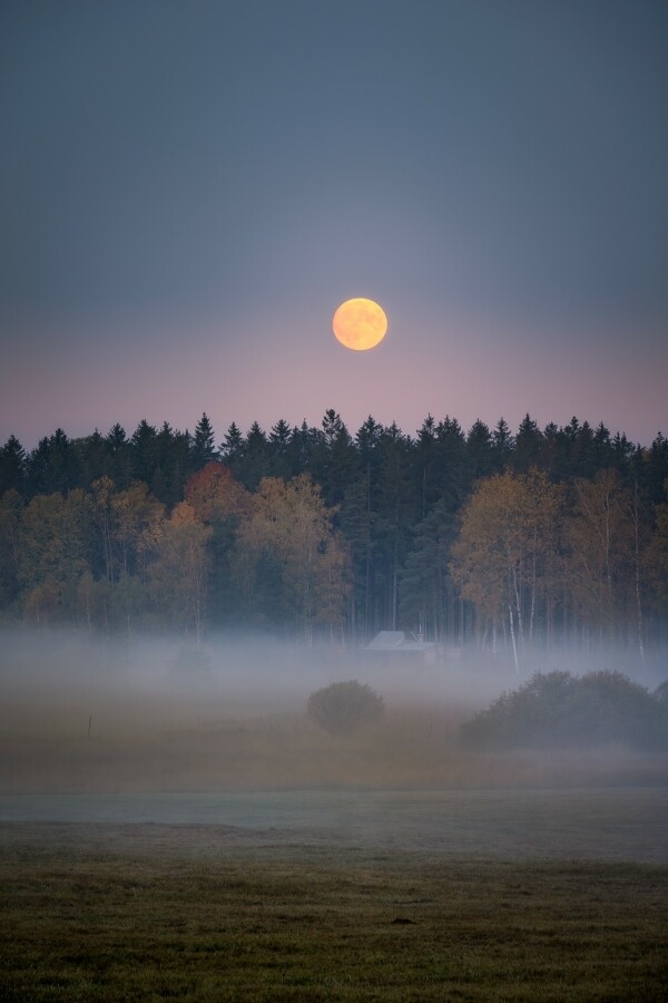 Věda v muzeu - Ing. Tomáš Přibyl: Ze Země (znovu) na Měsíc aneb kdy se dočkáme dalšího „malého kroku pro člověka“? (foto 1)