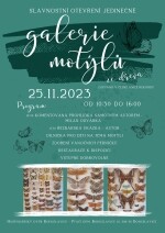 Galerie motýlů ze dřeva (foto 2)