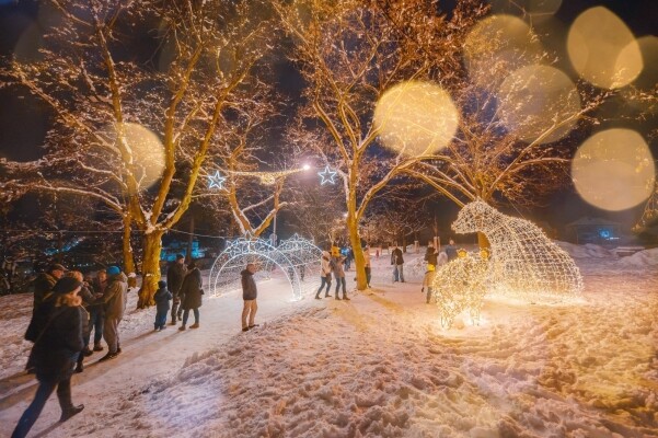 VÁNOČNÍ TŘEBÍČ 2023 (foto 1)