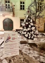 Stromy splněných přání Hitrádia Vysočina (foto 2)