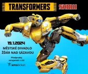 TRANSFORMERS SHOW (foto 2)