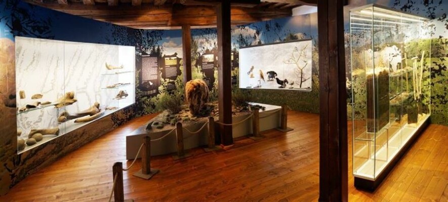 Akce: Jarní prázdniny v muzeu (foto 1)