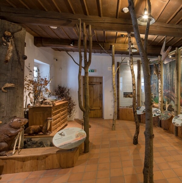 OHROŽENÉ DRUHY STRAŠIDEL (foto 1)