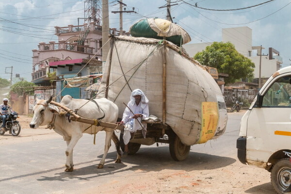 BESEDA S CESTOVATELEM Petrem Viterou (foto 1)