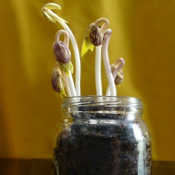 Jaro, vítej! – velikonoční a jarní programy pro děti a rodiny (foto 1)