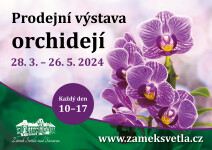 Výstava orchidejí (foto 2)