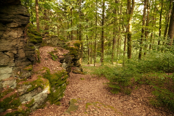 Den Země s Chaloupkami (foto 1)