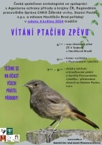 Vítání ptačího zpěvu (foto 2)