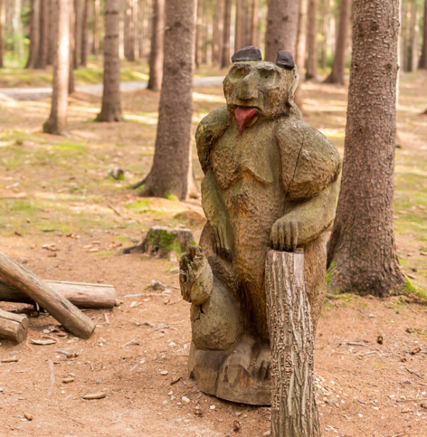 Večerníčkův pohádkový les (foto 1)