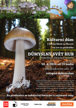 Důmyslný svět hub (foto 2)