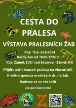 Cesta do pralesa - výstava pralesních žab (foto 2)