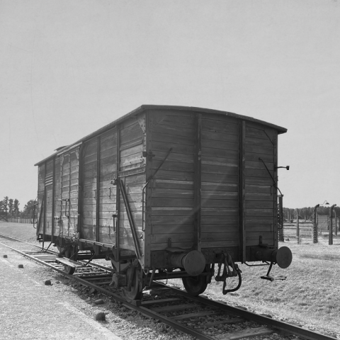 VZPOMÍNKOVÁ AKCE K UCTĚNÍ OBĚTÍ HOLOCAUSTU (foto 1)