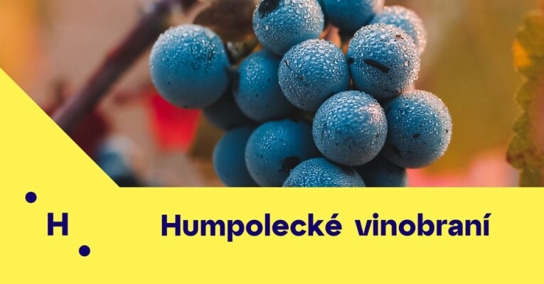 Humpolecké vinobraní (foto 1)