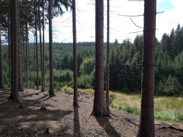 Myslivecko zemědělský den (foto 1)