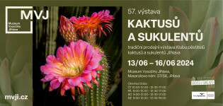 Výstava: Kaktusy a sukulenty (foto 2)