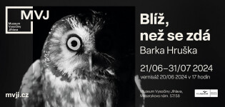 Výstava: Blíž, než se zdá (foto 2)