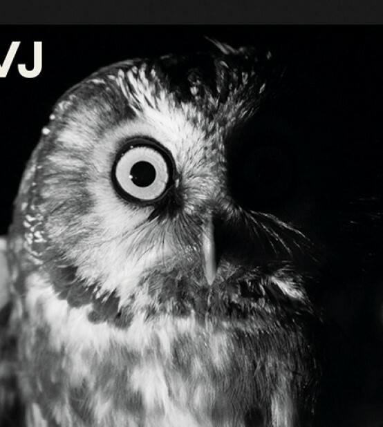 Výstava: Blíž, než se zdá (foto 1)