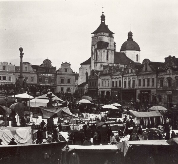 Vernisáž výstavy Boj o malé město. Příběhy památek a jejich lidí (1900-1960) (foto 1)