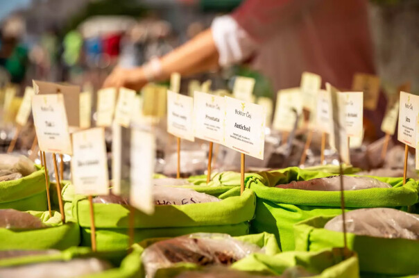 Farmářský trh s doprovodným programem (foto 1)