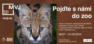 Výstava: Pojďte s námi do zoo (foto 2)