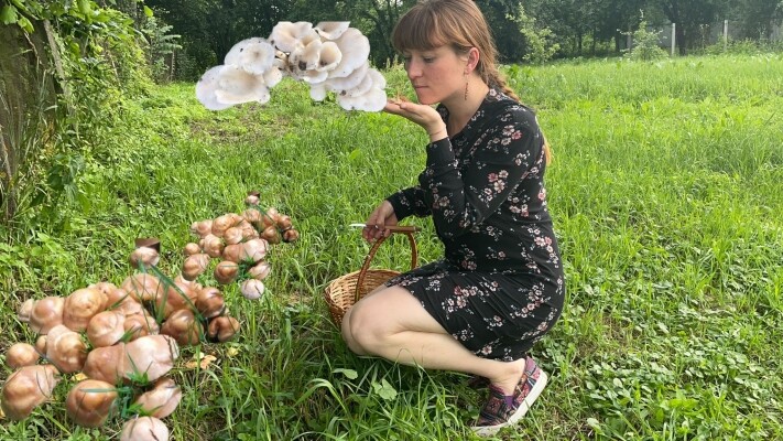 Výstava hub (foto 1)