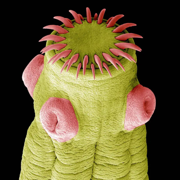 Výstava: Věda fotogenická (foto 1)