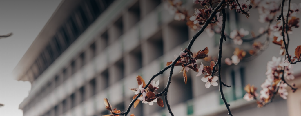 Rozloučení s prázdninami na Hotelu Medlov (foto 1)