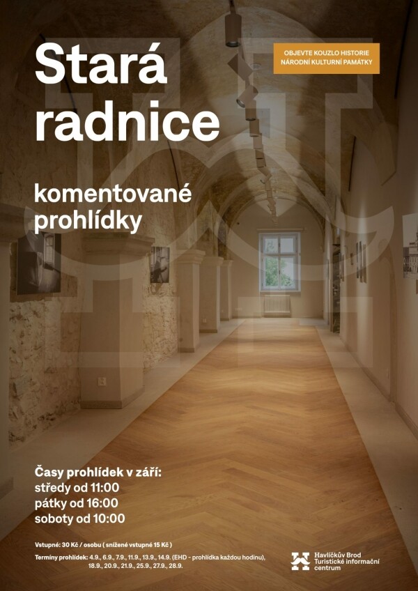 Stará radnice - komentované prohlídky (foto 1)