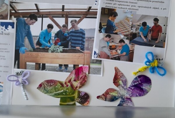 Barvy léta, podzimu a my (foto 1)