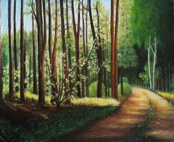 Barvy mýma očima (foto 1)