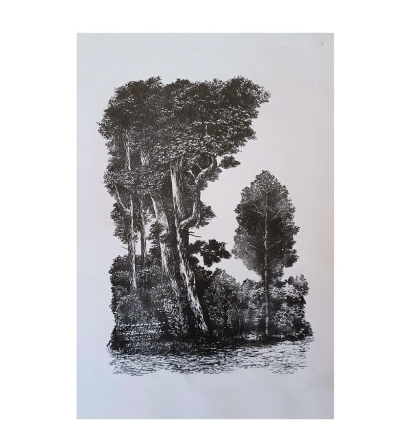 Umění v krajině (foto 1)