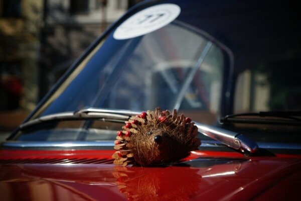 Ježkova jízda 2024 (foto 1)