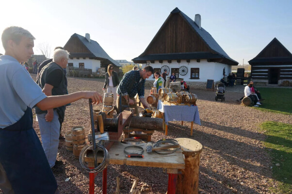 Slavnosti brambor na Edenu 2024 (foto 1)