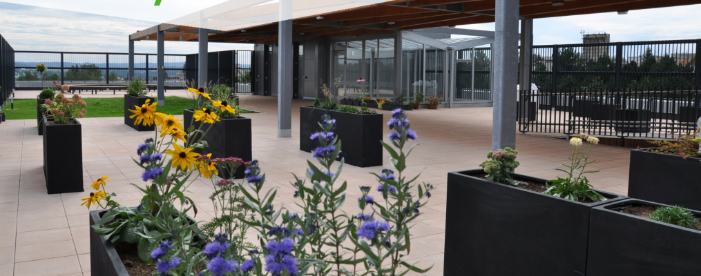 Putování po projektech - Přírodovědné centrum a planetárium ZŠ Nuselska Havlíčkův Brod (foto 1)